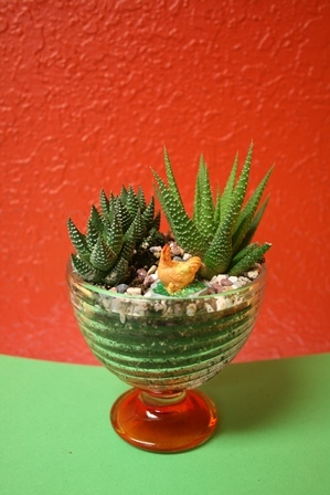 Wineglass Succulent Terrarium Kit