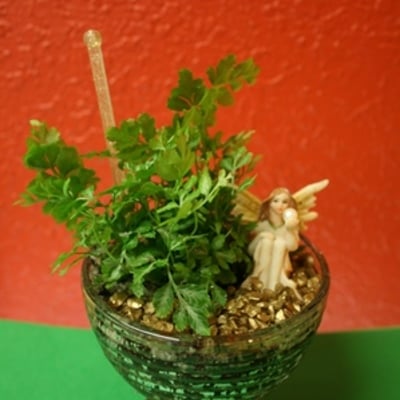 Wineglass terrarium kit