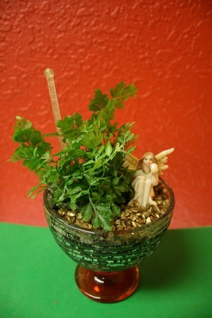 Wineglass Terrarium Kit