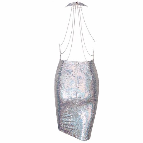 Silver Sequined Reflective V- Neck Dress