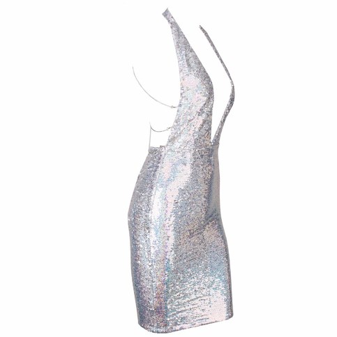 Silver Sequined Reflective V- Neck Dress