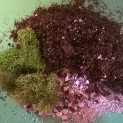 Mini terrarium kit soil mix