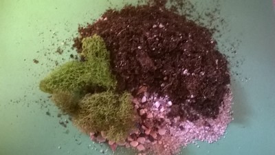 Mini Terrarium Kit Soil Mix