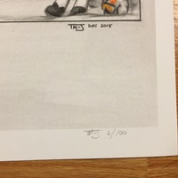 The Scavenger - Thumbnail 2