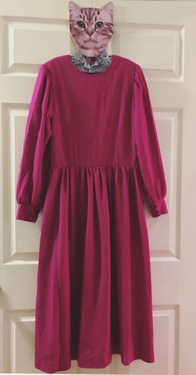 Vintage Long Sleeve dress