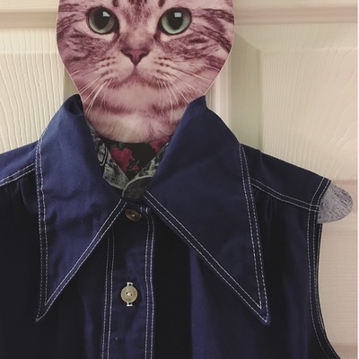 1970's pointy collar top