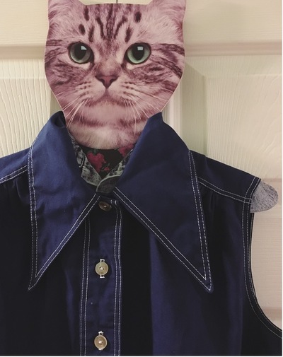 1970's Pointy Collar Top