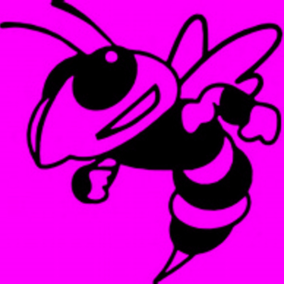 Bumble bee window decal, outdoor vinyl handmade kayak decal, mower decal, truck decal