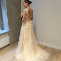 Tulle and Lace Prom Gowns Party Dresses Celebrity Dresses PG0010 - Thumbnail 3