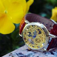 The Bentley Automatic Mechanical Skeleton Watch - Thumbnail 1