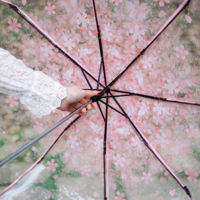Sweet cherry blossom transparent folding umbrella - Thumbnail 2