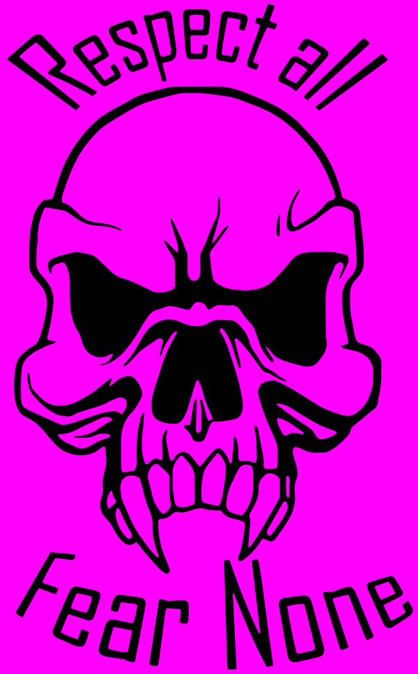 Respect all fear none skull outdoor vinyl decal handmade