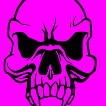 Respect all fear none skull outdoor vinyl decal handmade