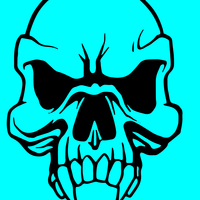 Respect all fear none skull outdoor vinyl decal handmade - Thumbnail 1