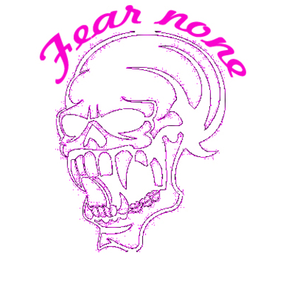 Fear none vinyl skull outdoor vinyl decal handmade