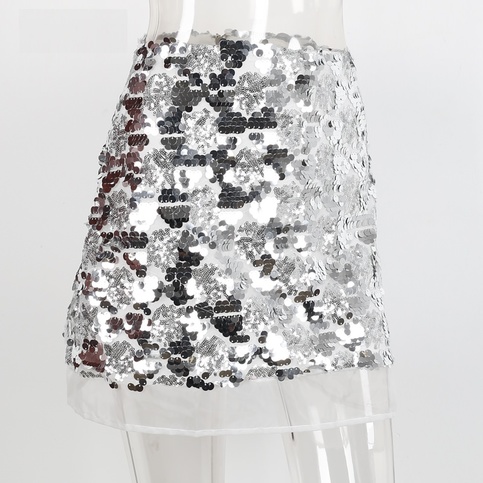 Silver Sequin Mesh Llined Skirt 