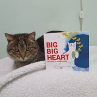 Big Big Heart by Kittens Slay Dragons (2016 CD) - Thumbnail 1