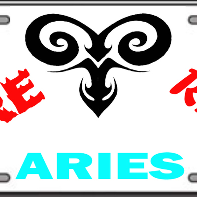 Aries license plate poly handmade vinyl flexible pre-drilled holes 