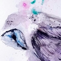 Peaceful owl - Thumbnail 1