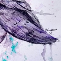 Peaceful owl - Thumbnail 2