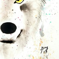 Silent wolf - Thumbnail 2