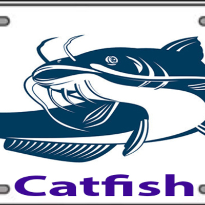Catfish white license plate blue lettering handmade vinyl flexible pre-drilled holes 