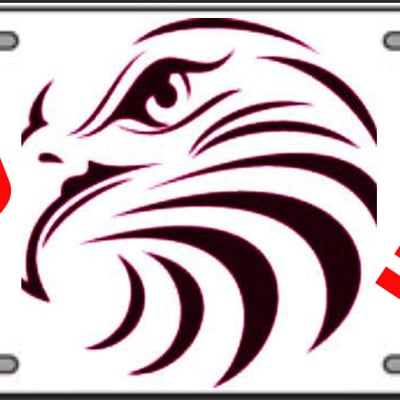 Eagle white license plate fly high handmade vinyl flexible pre-drilled holes 