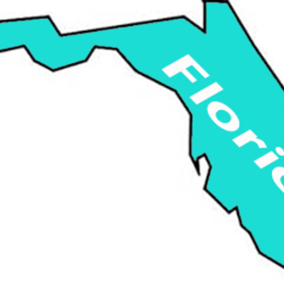 State florida decal outdoor vinyl weather resistant handmade - Thumbnail 4
