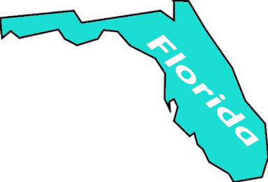 State Florida decal outdoor vinyl weather resistant handmade