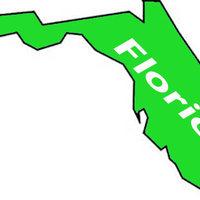 State Florida decal outdoor vinyl weather resistant handmade - Thumbnail 1