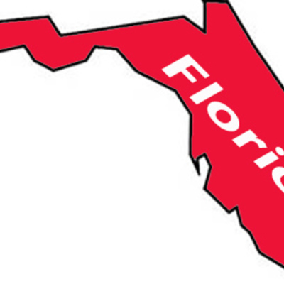 State florida decal outdoor vinyl weather resistant handmade