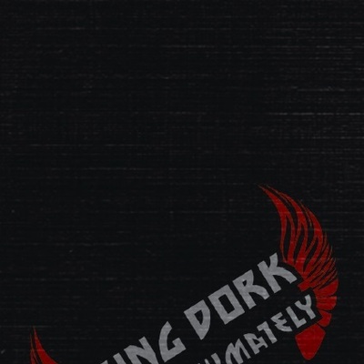 Mr. t experience - king dork approximately cassingle