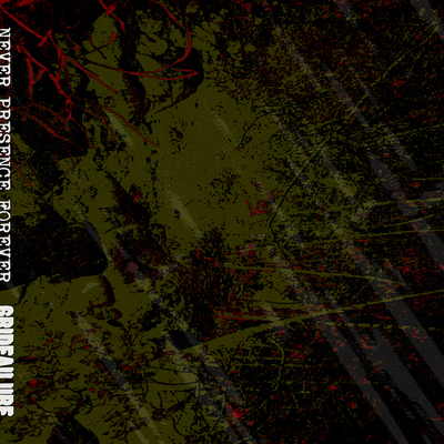 Gridfailure / never presence forever split cassette