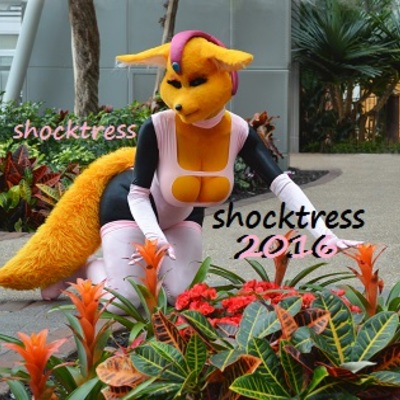 Fara 8x10: unseasonal flowers 1 - Thumbnail 2