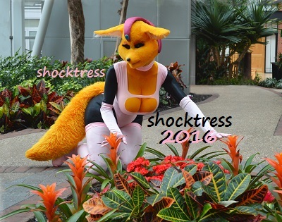 Fara 8x10: Unseasonal Flowers 1