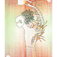 Playing Card Art: Jacks - Thumbnail 1