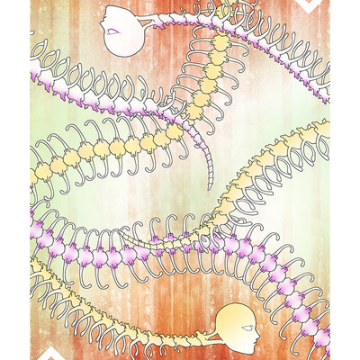 Playing card art: twos