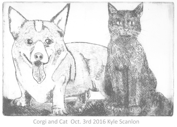Corgi and Cat