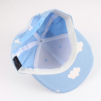 PASTEL CLOUD SNAPBACK - Thumbnail 2
