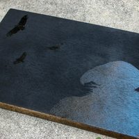 California Condor - Thumbnail 2