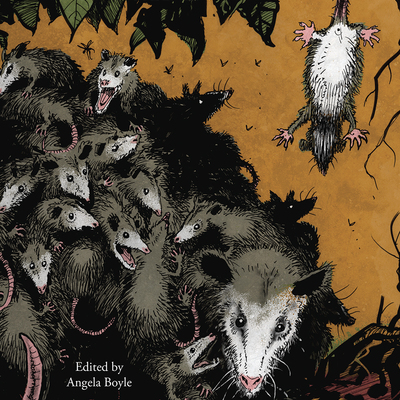 Awesome 'possum, volume 3