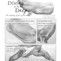 Awesome 'Possum, Volume 3 - Thumbnail 2