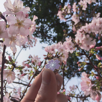 SAKURA PIN (CLICK FOR MORE COLORS) - Thumbnail 2