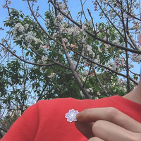 SAKURA PIN (CLICK FOR MORE COLORS) - Thumbnail 1