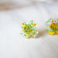 Real Dried Flowers and Resin Clover Stud Earrings in Yellow and Green - Thumbnail 4