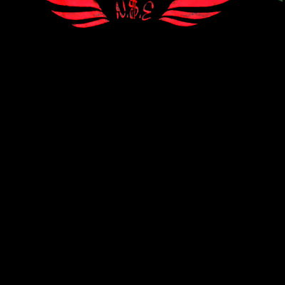 E.r datransporter (black&blood red) artist shirt 