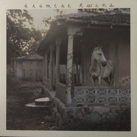 Siamese Twins- In A Box/Stutter 7" - Thumbnail 1