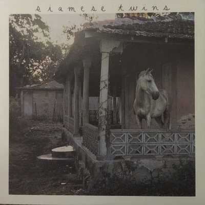 Siamese twins- in a box/stutter 7"