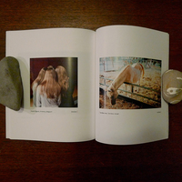 Incandescent Issue Eleven - Thumbnail 4