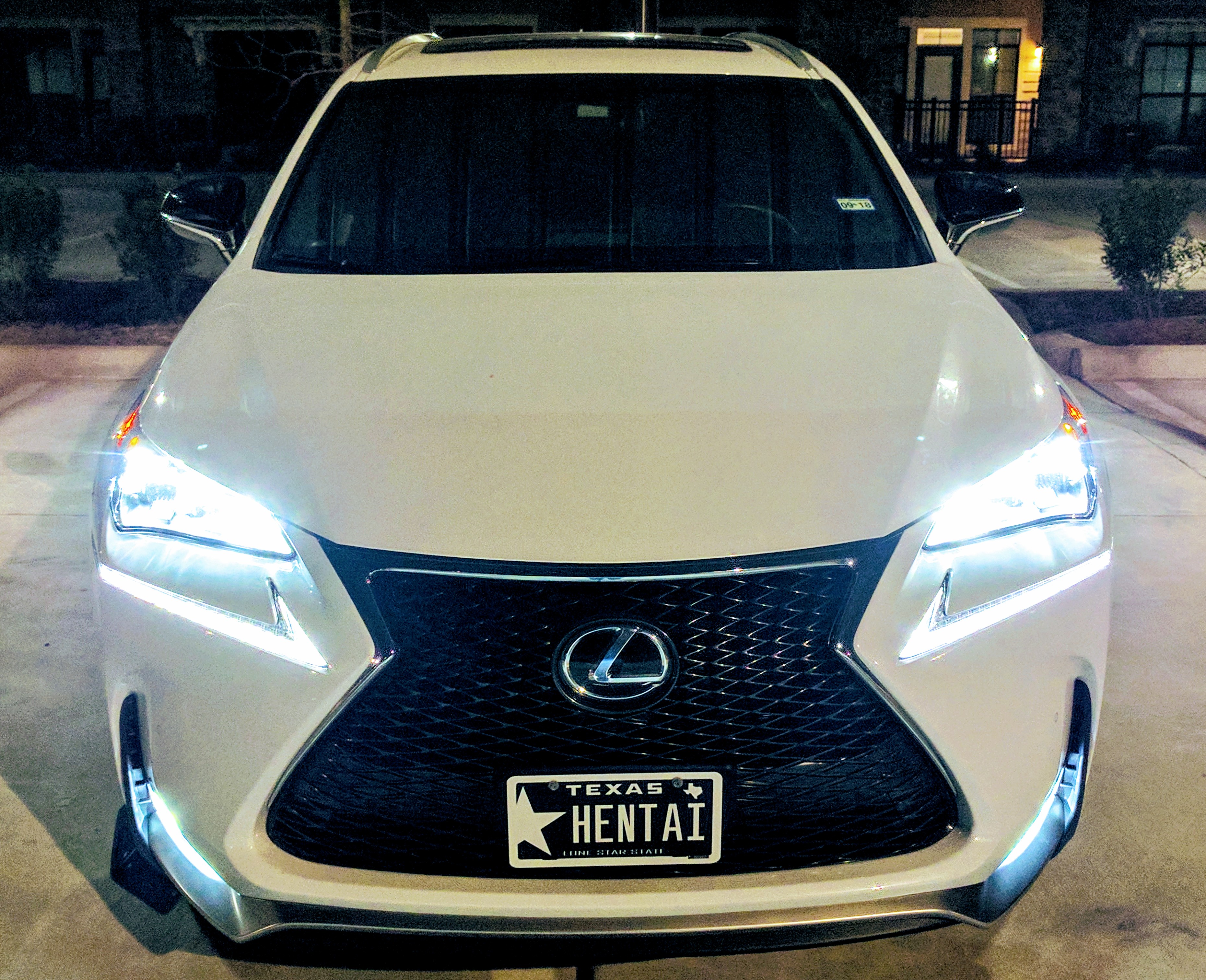 Image of Texas HENTAI Plate